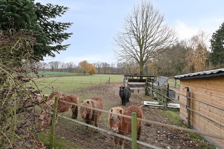 Photo 50 of Wittehemelweg 21