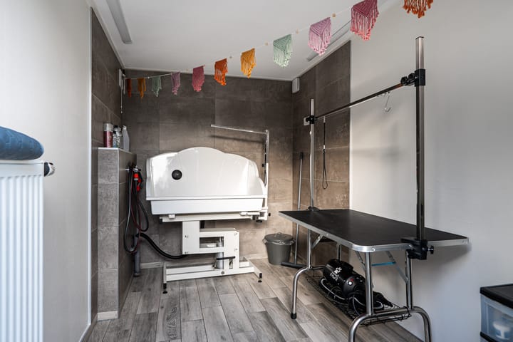 Foto 30 van Jogchum Nieuwenhuisstrjitte 25