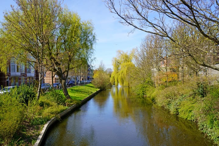 Foto 24 van De Réaumurstraat 48