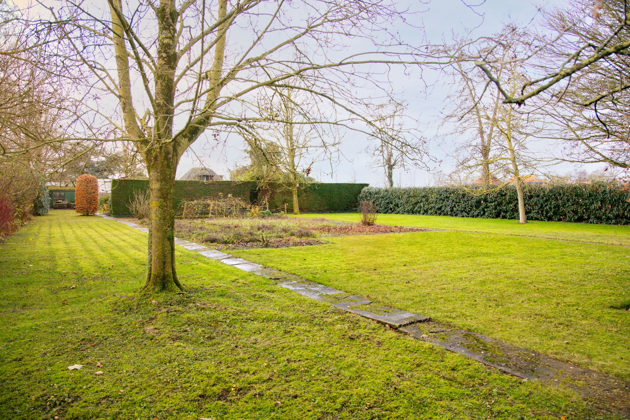 Foto 3 van Hoornseweg 27