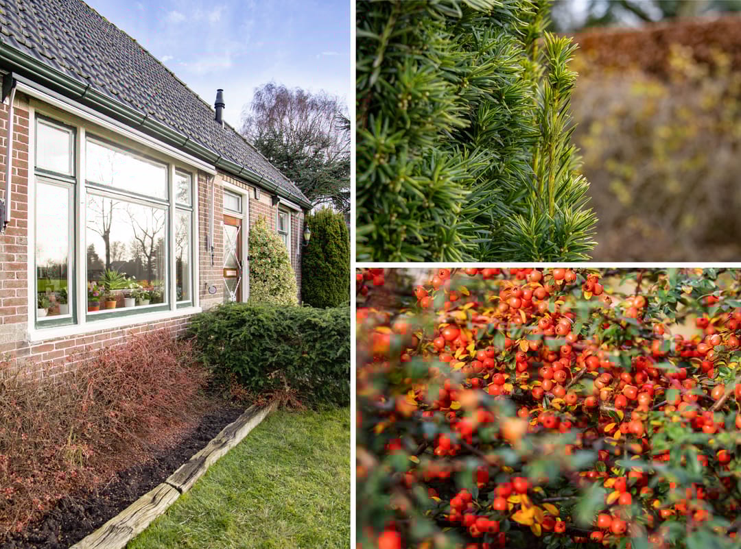 Foto 7 van Hoornseweg 27