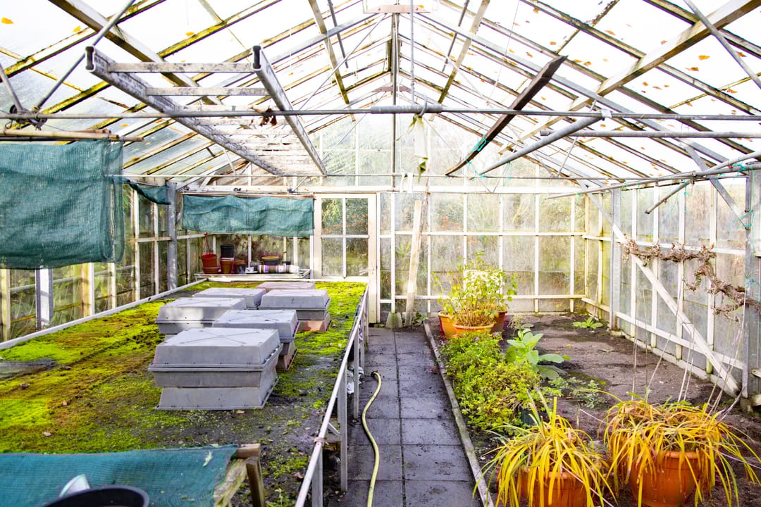 Foto 46 van Hoornseweg 27