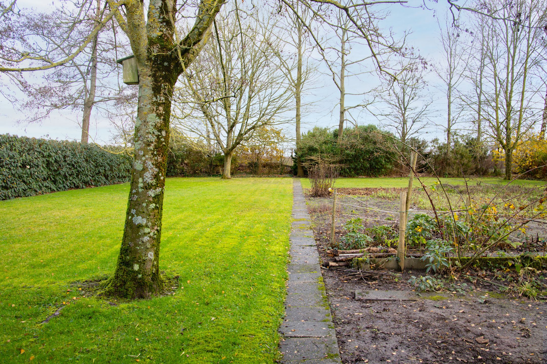 Foto 48 van Hoornseweg 27