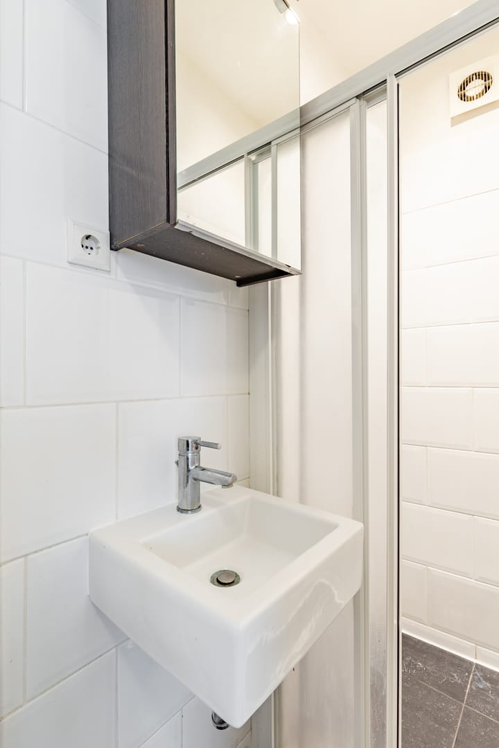 Foto 5 van De Sillestraat 91