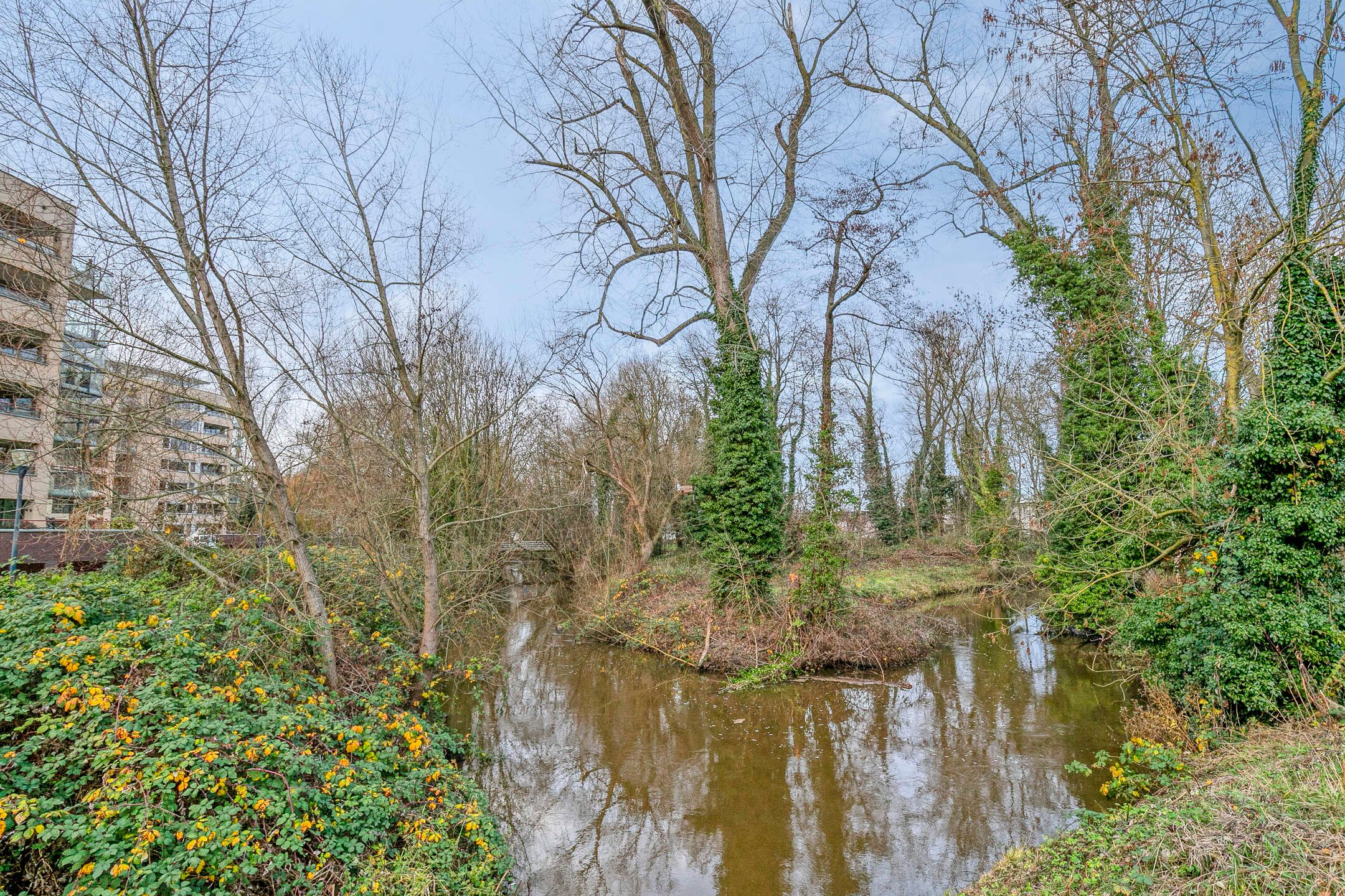 Photo 36 of Hofdael 42