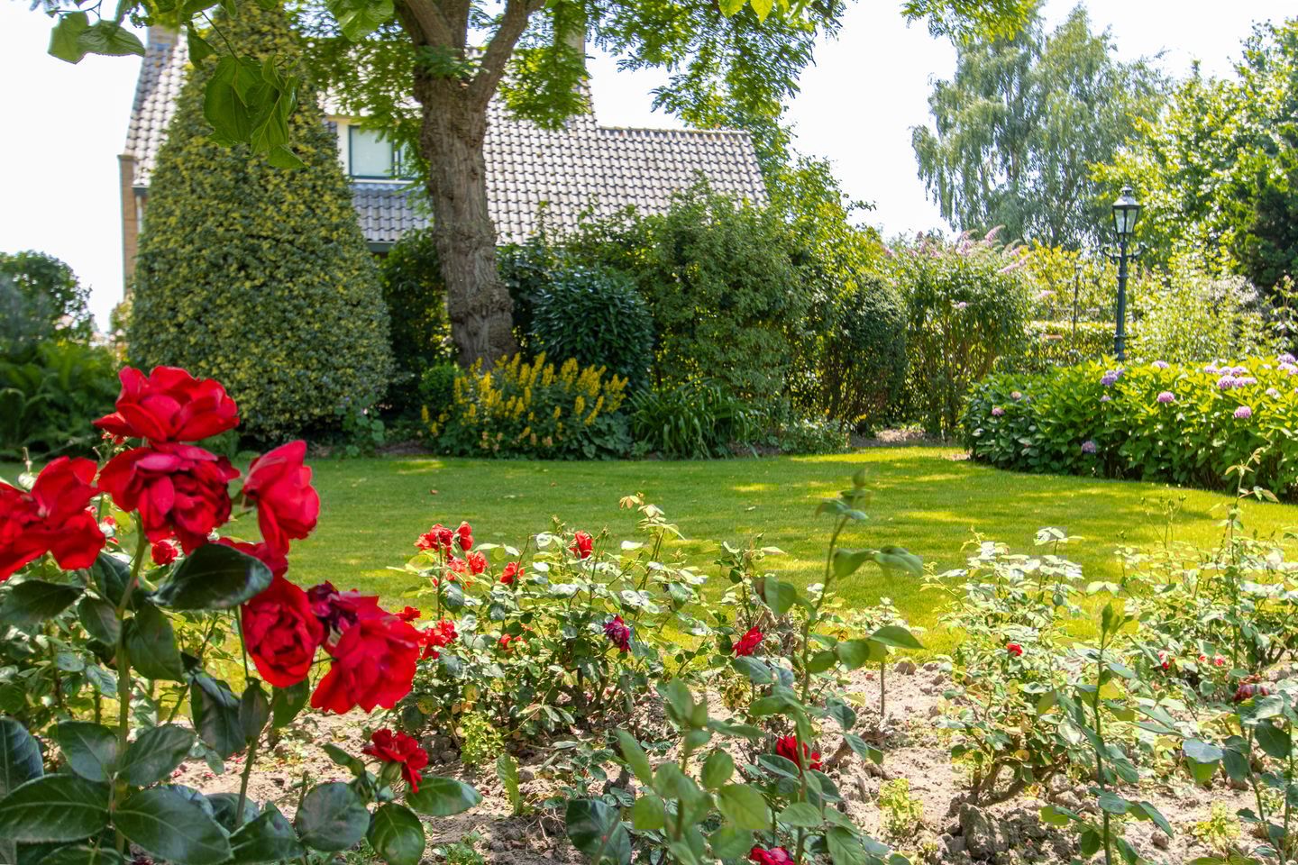 Foto 34 van Voompad 14