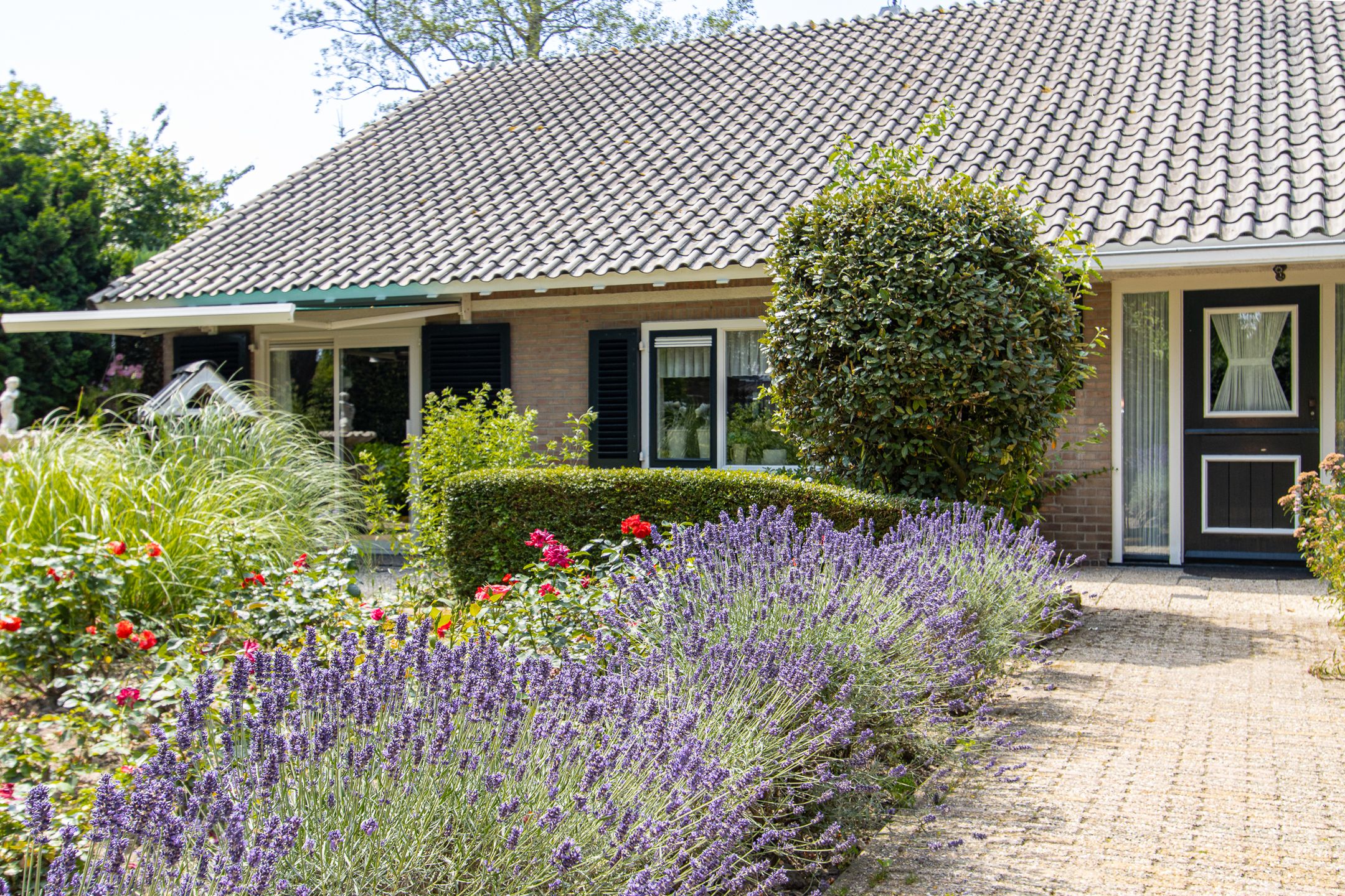 Foto 36 van Voompad 14