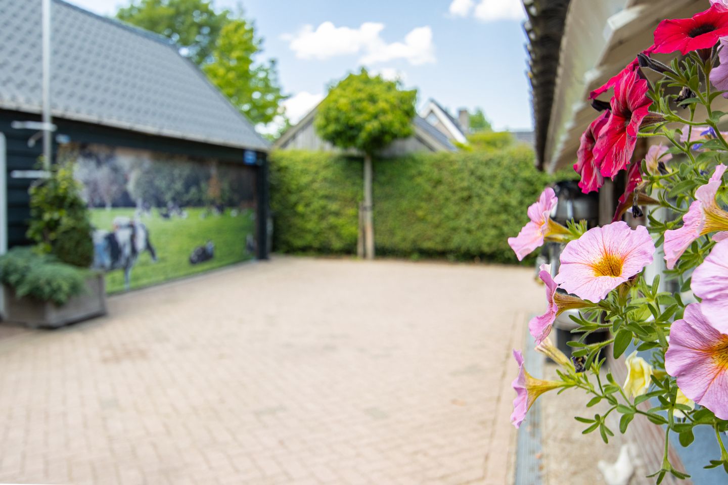 Foto 40 van Voompad 14