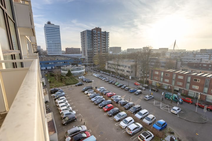 Foto 29 van Eisenhowerlaan 300