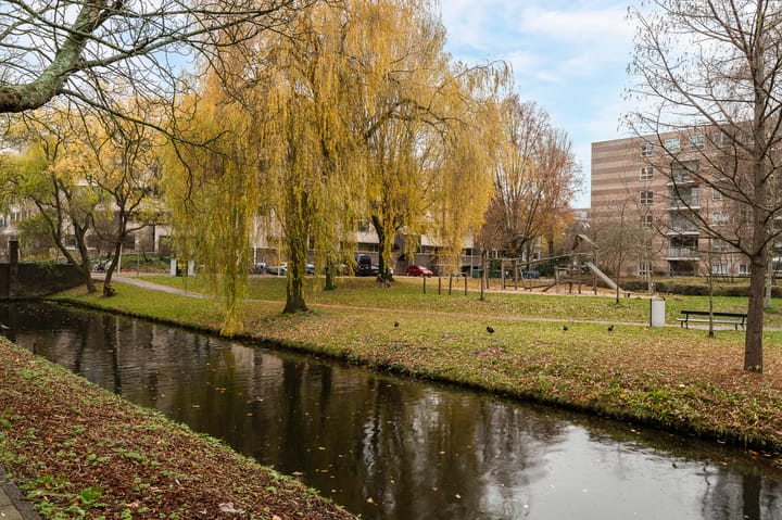 Foto 17 van Burgemeester Patijnlaan 690