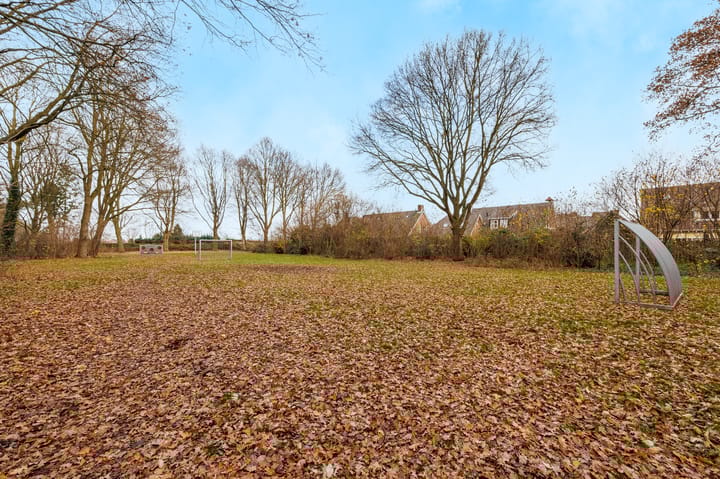 Photo 45 of Buitenveld 11