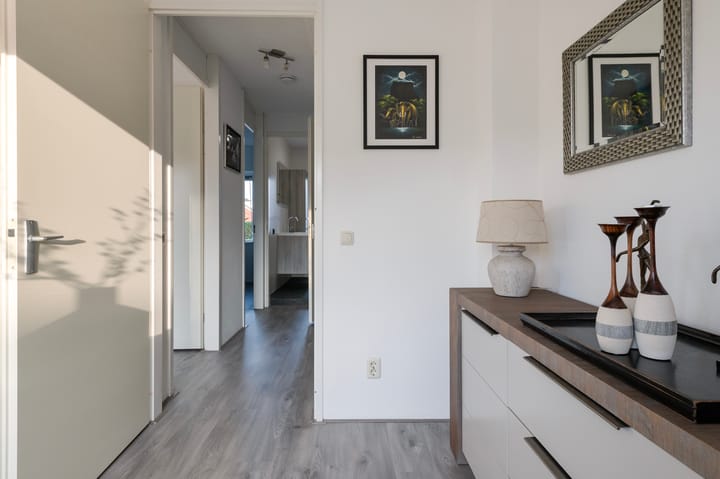 Photo 27 of Garenboom 43