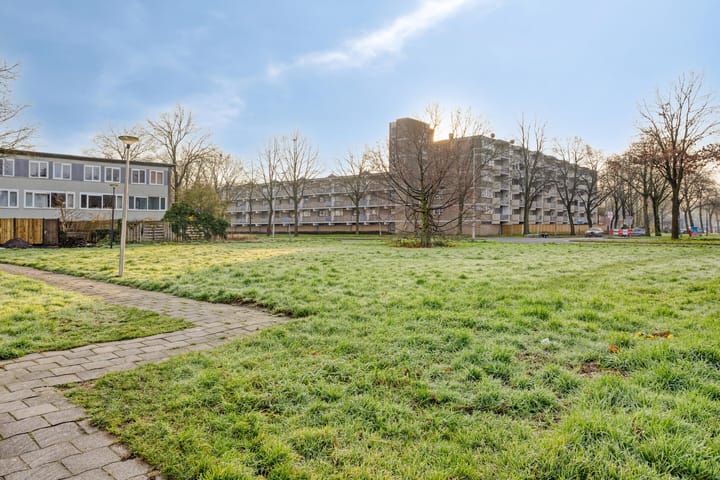 Foto 35 van Ypelobrink 95