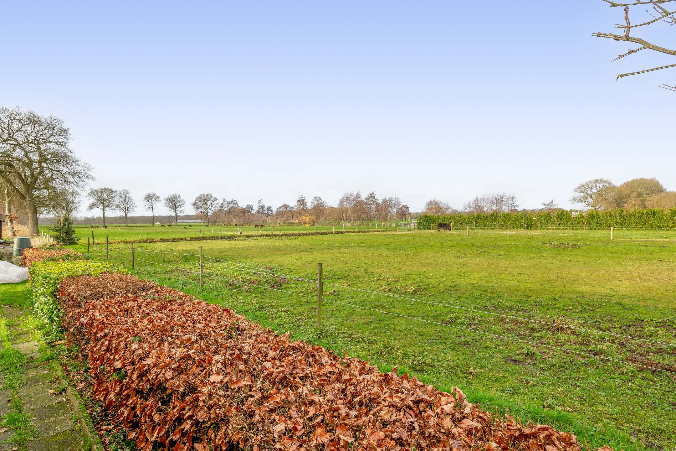 Photo 48 of Lieverseweg 6