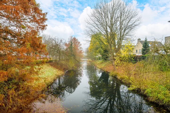 Foto 76 van Willem Dreessingel 1