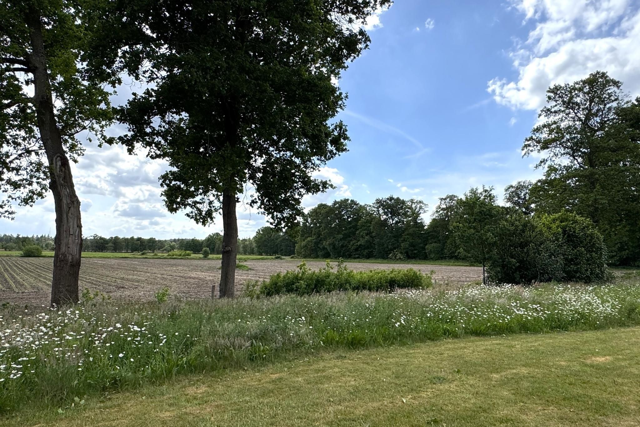 Foto 6 van Dwarsweg 73-A44