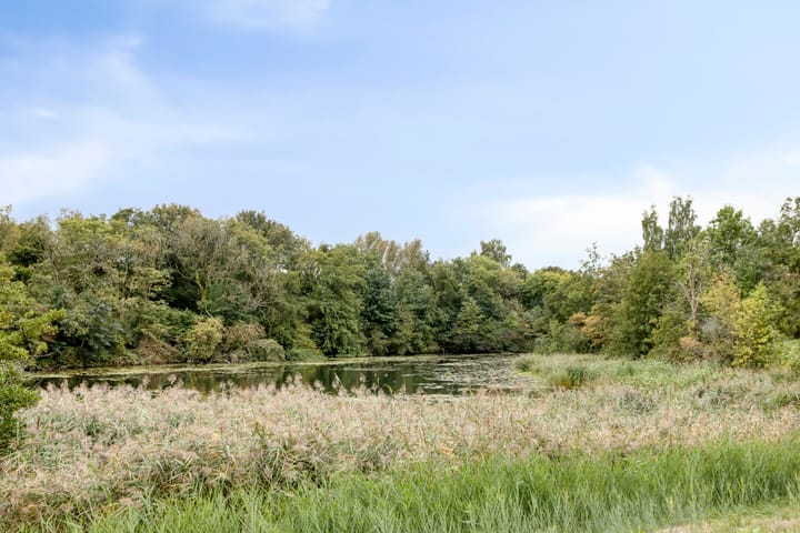 Foto 28 van Vergiliuslaan 88