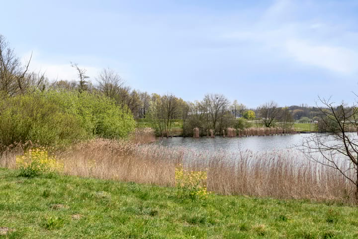 Foto 30 van Vergiliuslaan 88