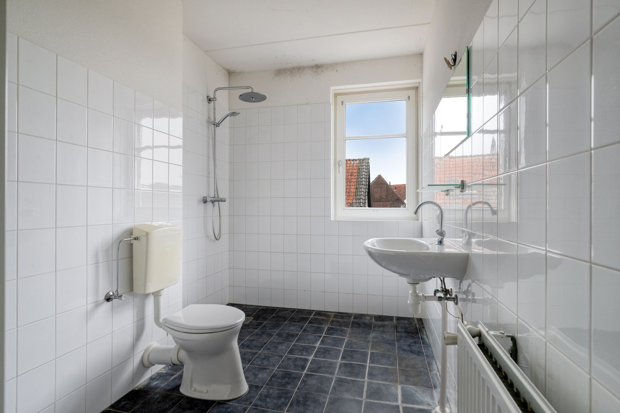 Foto 18 van Boezemlanden 2