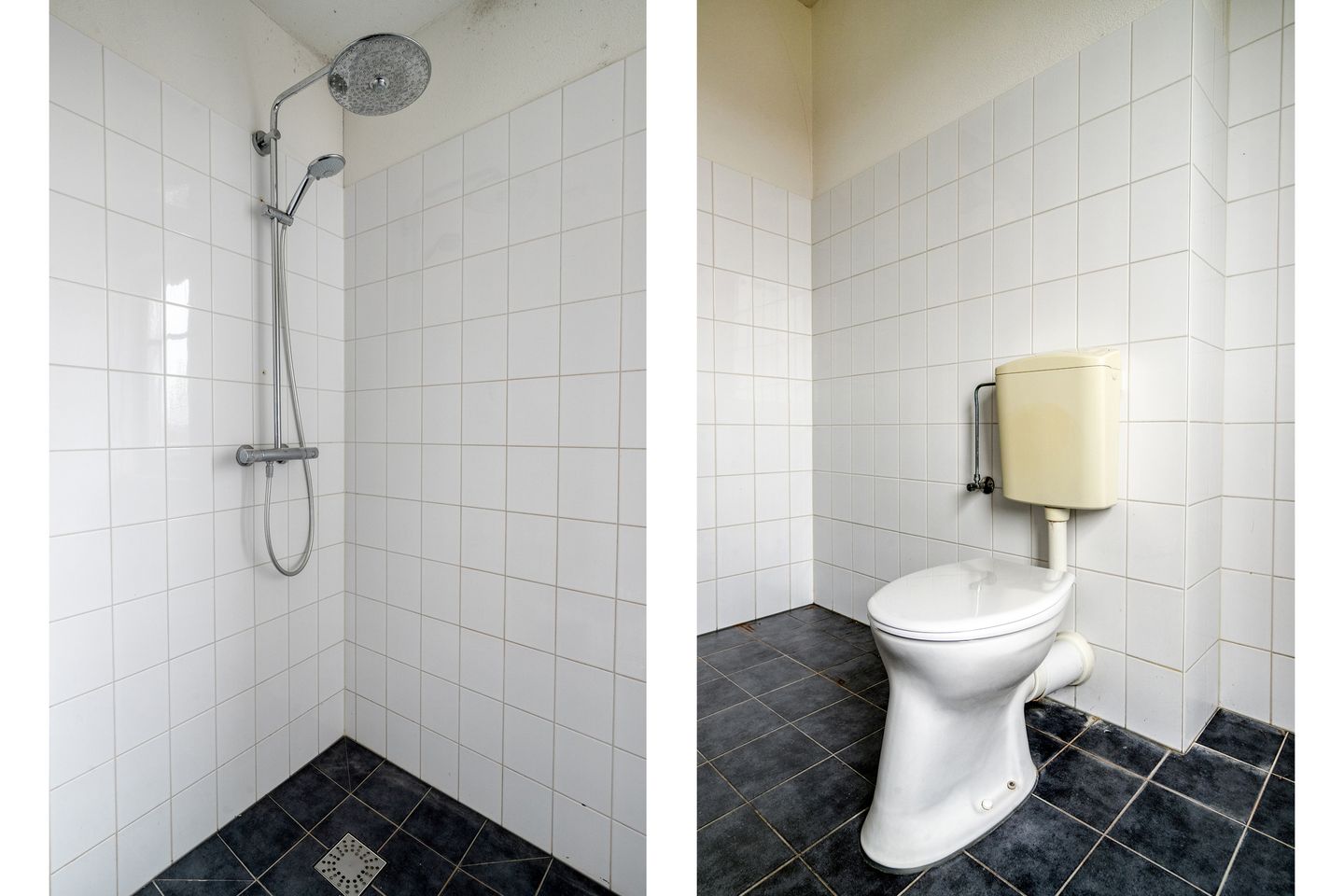 Foto 19 van Boezemlanden 2