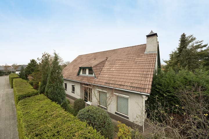 Foto 49 van Laagakker 62