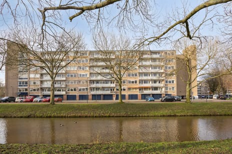 Kruiskampsingel thumbnail