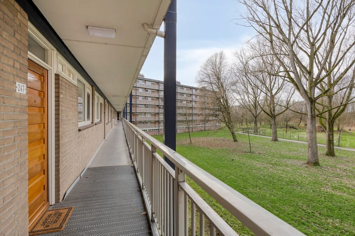 Foto 22 van Kruiskampsingel 247