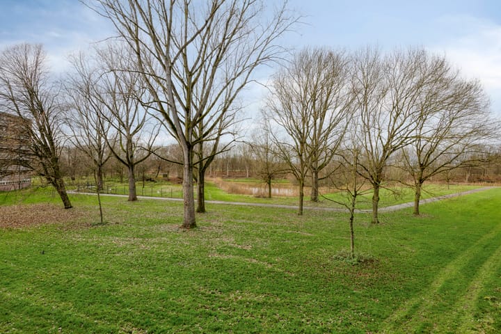 Foto 24 van Kruiskampsingel 247