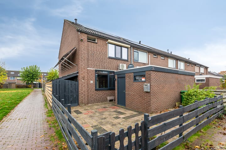 Photo 5 of Ganzepeppel 58