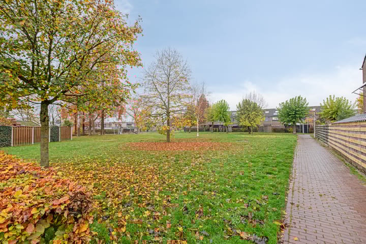 Photo 6 of Ganzepeppel 58