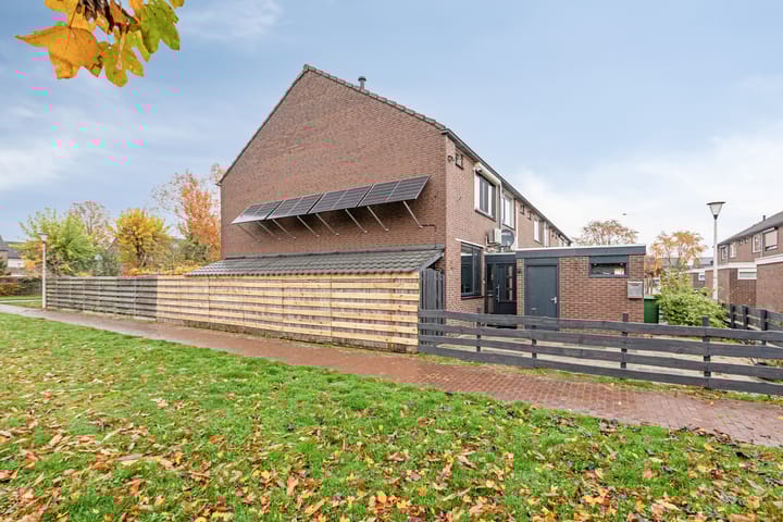 Photo 7 of Ganzepeppel 58