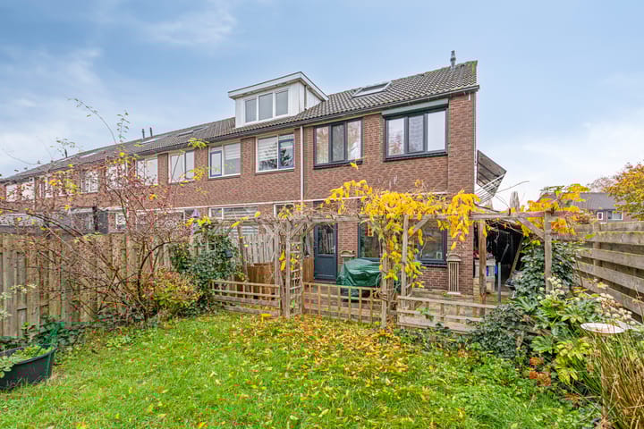 Photo 27 of Ganzepeppel 58