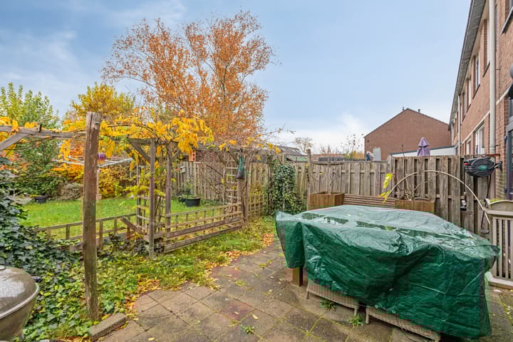 Photo 28 of Ganzepeppel 58