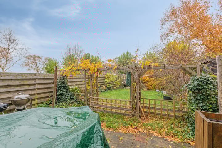 Photo 29 of Ganzepeppel 58