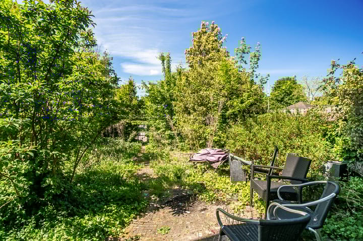 Photo 15 of Pisuissehof 12