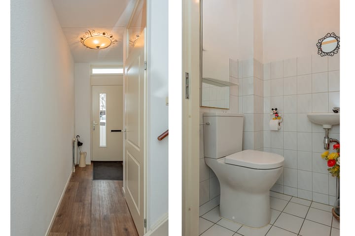 Photo 5 of De Zoom 10