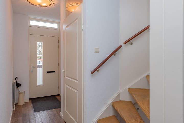 Photo 4 of De Zoom 10