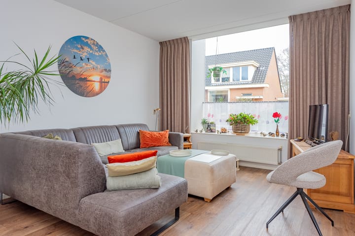 Photo 6 of De Zoom 10