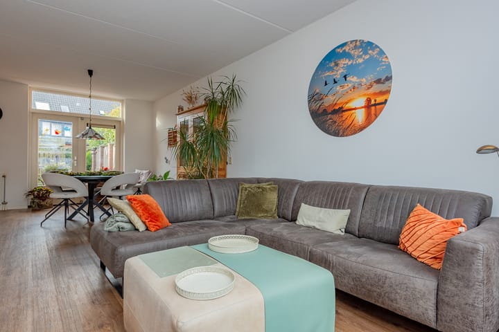 Photo 8 of De Zoom 10