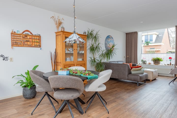 Photo 9 of De Zoom 10