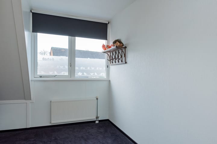 Photo 21 of De Zoom 10