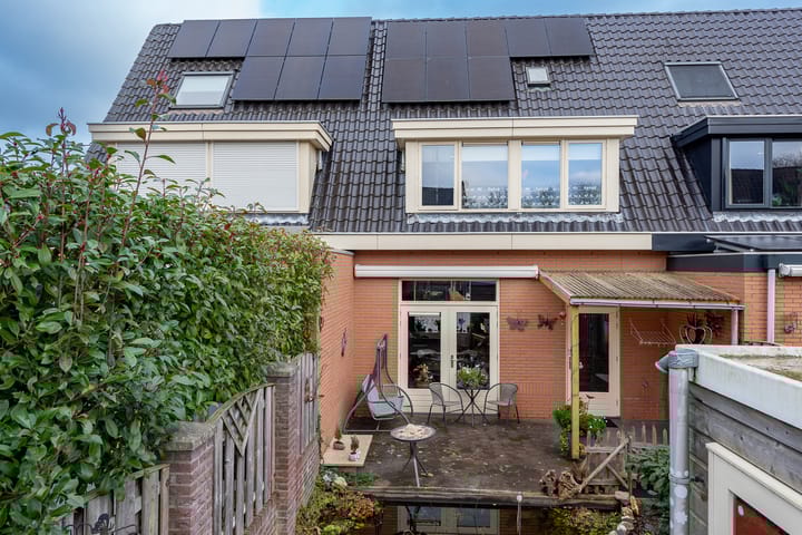 Photo 29 of De Zoom 10