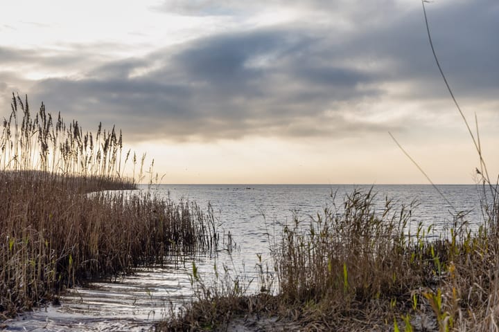 Foto 52 van Buren 18