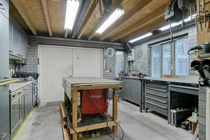 Foto 50 van Vogelwikke 12