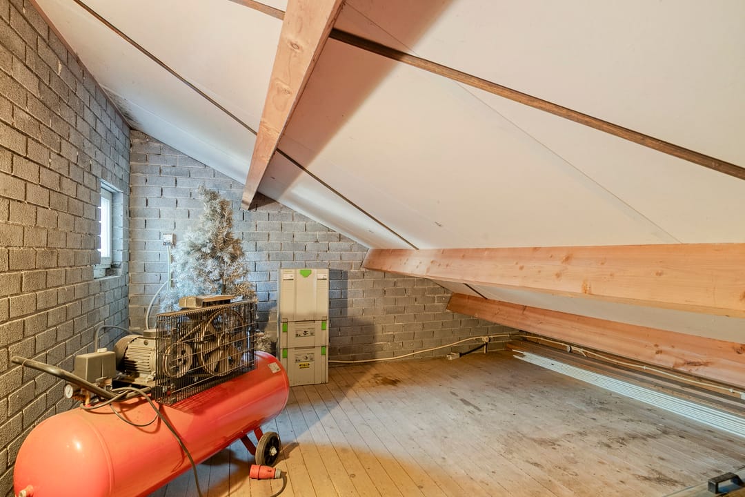 Foto 53 van Vogelwikke 12