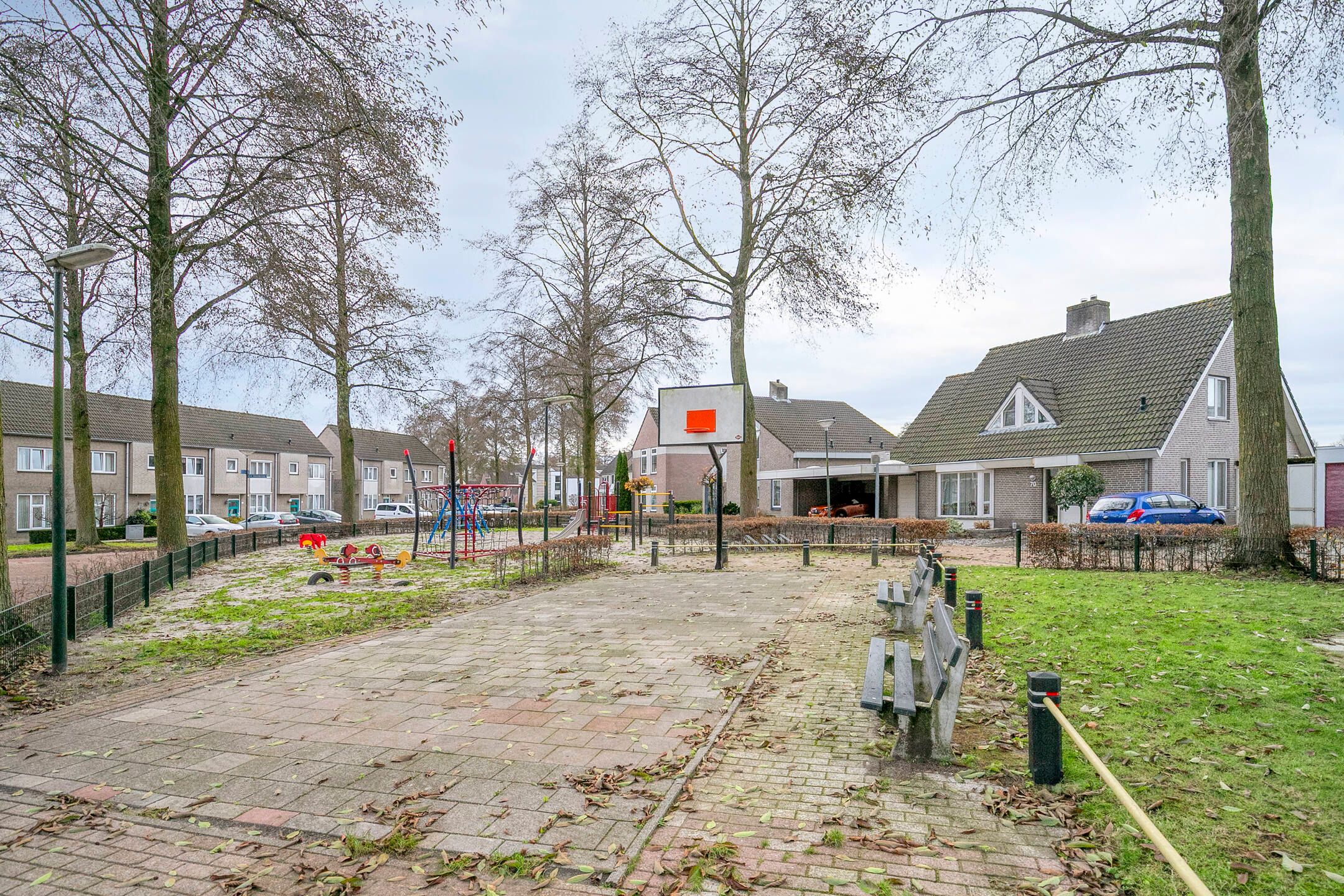 Photo 69 of Vogelwikke 12