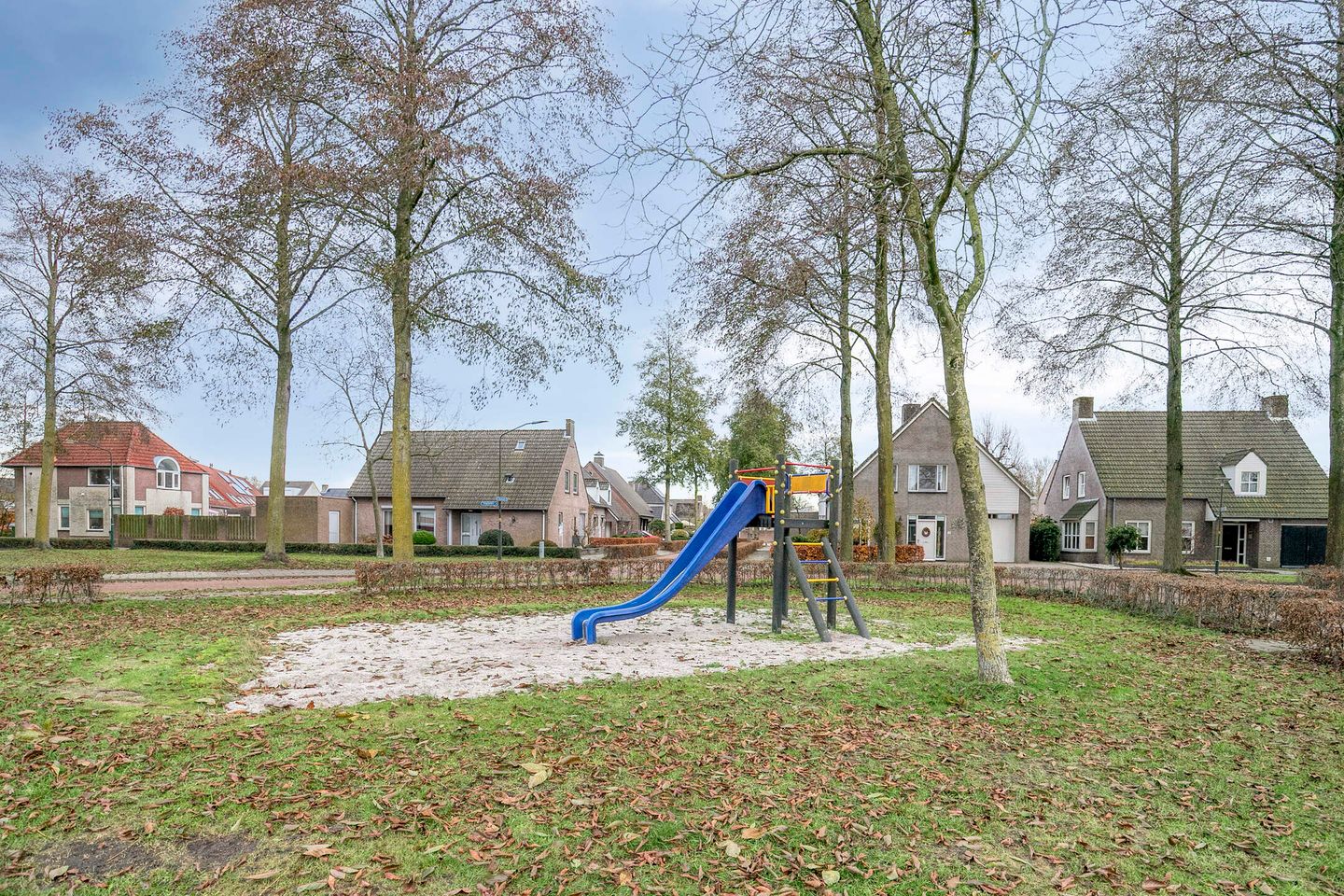 Photo 70 of Vogelwikke 12