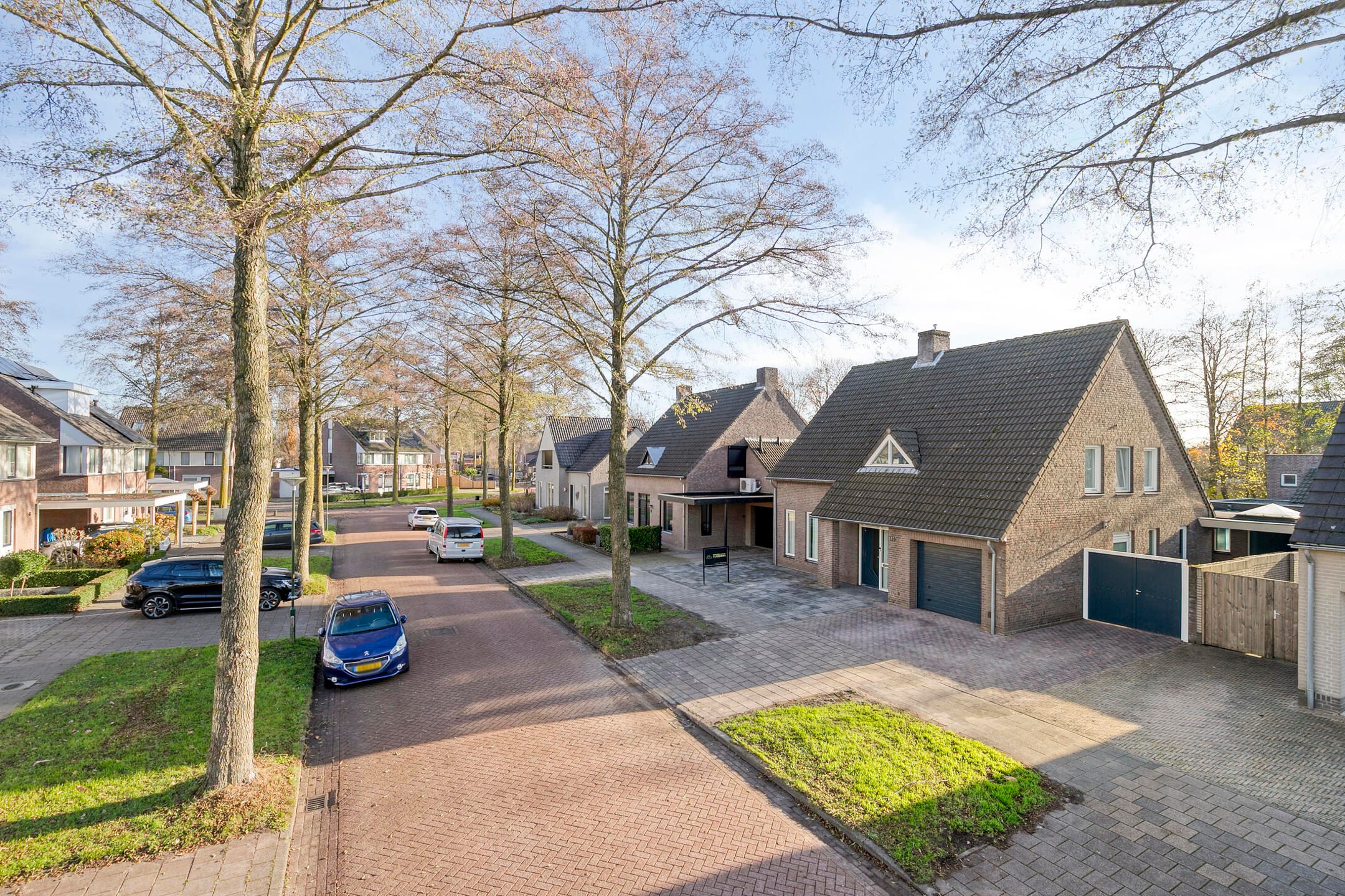 Foto 69 van Vogelwikke 12