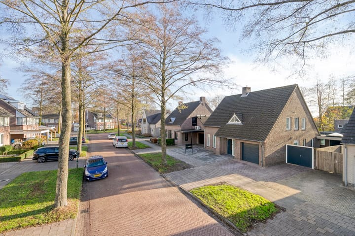 Foto 69 van Vogelwikke 12