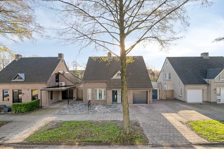 Foto 70 van Vogelwikke 12